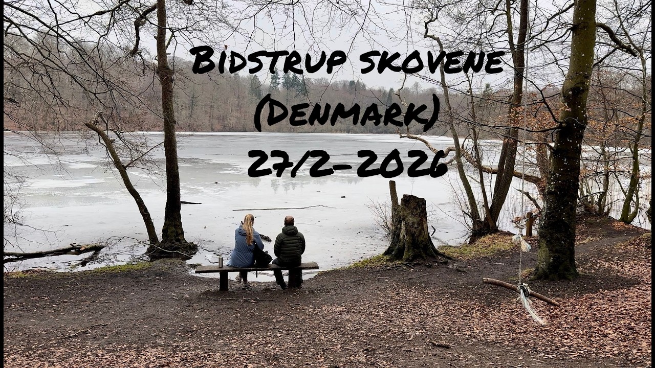 Spring Is Almost Here | Bidstrup Skovene, Denmark