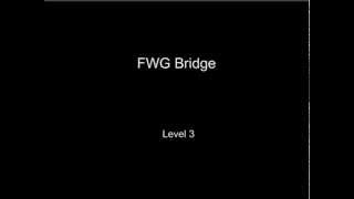 Amazing FWG Bridge Level 3
