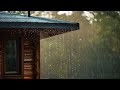 Cooking - Live Stream
