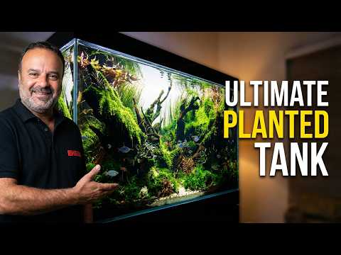This AQUASCAPE Will Inspire Your Next Build