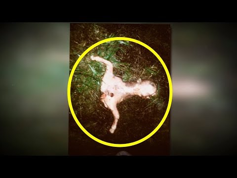 5 Creepiest Things Found In The Woods!