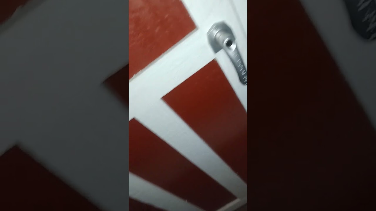 Coral In The Harness. 2/5/25