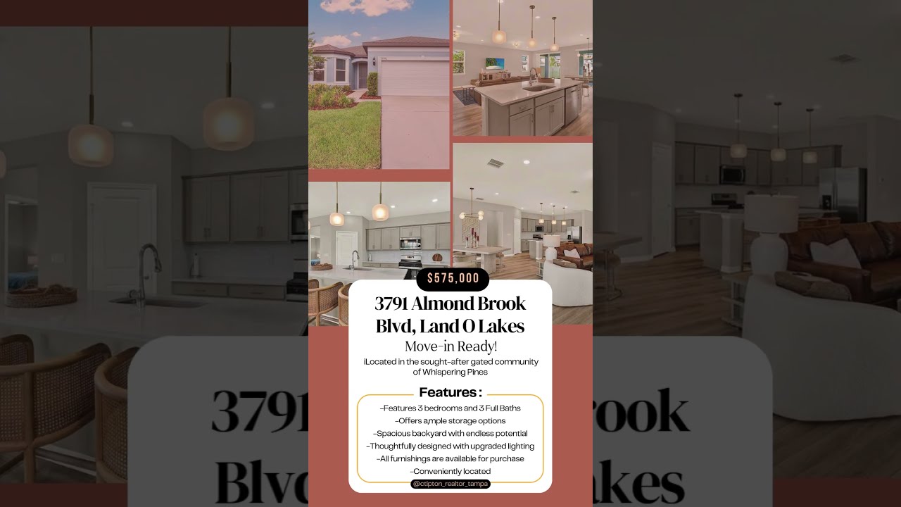 New Listings In Tampa Floridarealestate