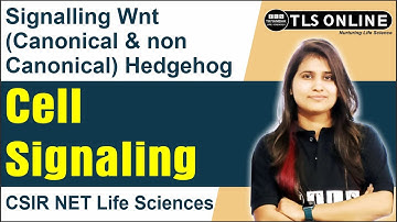Signalling Wnt (Canonical & non Canonical) Hedgehog | Cell Signaling | CSIR NET Life Sciences |