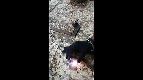 Week No.27- Nick Break Test