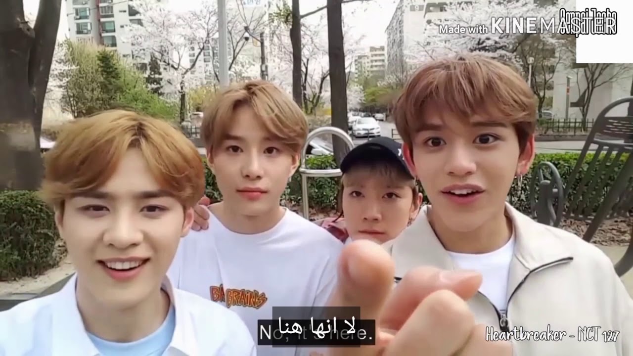 دليل مساعد لي كل ما تريد معرفته عن وانغ لوكس