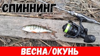 Как ловить пассивного ОКУНЯ весной? Ловля хищника на мормышинг весной!