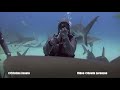 Amazing video of diver Cristina Zenato and her bond with sharks!