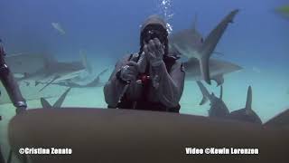 Amazing video of diver Cristina Zenato and her bond with sharks!