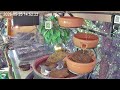 Früher Nachmittag am Vogel-Spa (25.05.2026)