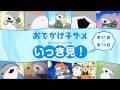 アニメ『おでかけ子ザメ』いっき見!【第61話〜第70話】