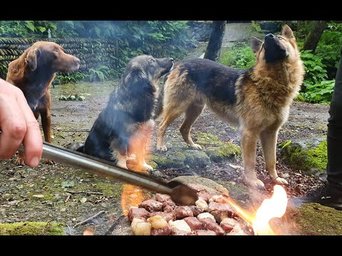 Открыть природу горной Аджарии / Батуми 2020 / Batumi 2020 / #ბათუმი 2020 / после карантина в батуми