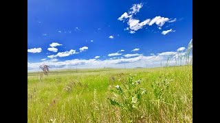 9 Jack Ct, Wright, WY, 82732