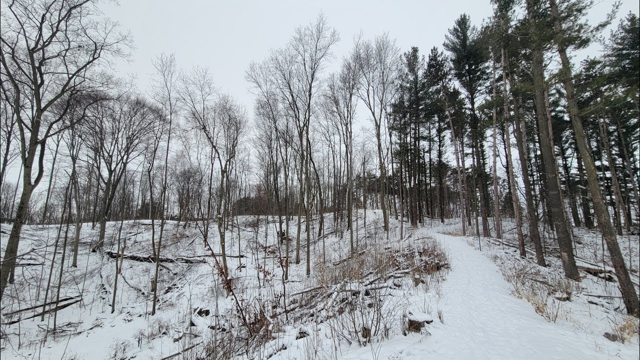 Прямая трансляция в TikTok: прогулка на снегоступах в новогодний день в природном заповеднике Пёр...