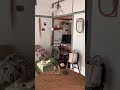 【団地ルームツアー】押し入れをデスクに!?インテリアコーディネーターのお部屋 築40年レトロを活かす和と北欧のmix #shorts