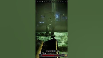 Druid does no damage #darkanddarker #gaming