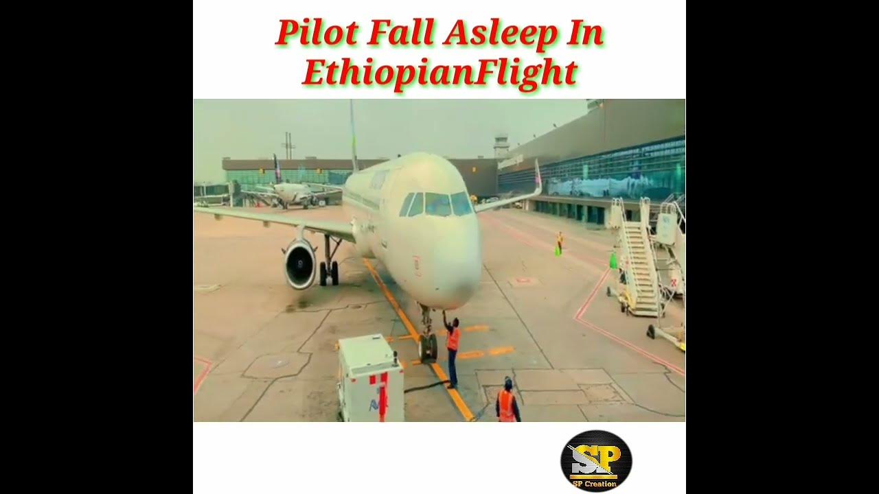 Plane Crash In Hindi Pilot Fall AsleepAt 37000Ft Height Crash plane-crash-in-hindi-pilot-fall-asleepat-37000ft-height-crash