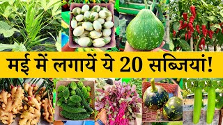 मई के महीने में कौन सी सब्जी लगाएं | May Me Konsi Sabji Lagaye | May Me Lagane Wali Sabjiya