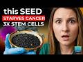 This FORGOTTEN Seed May TRIPLE Stem Cells &amp; STARVE Cancer Naturally – Eat Daily After 50!