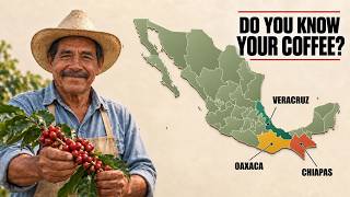 ¿Por qué el mundo ignora el café mexicano?