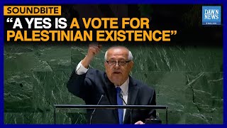 Palestinian Flag “Flies High And Proud”: Envoy To UN | Dawn News English