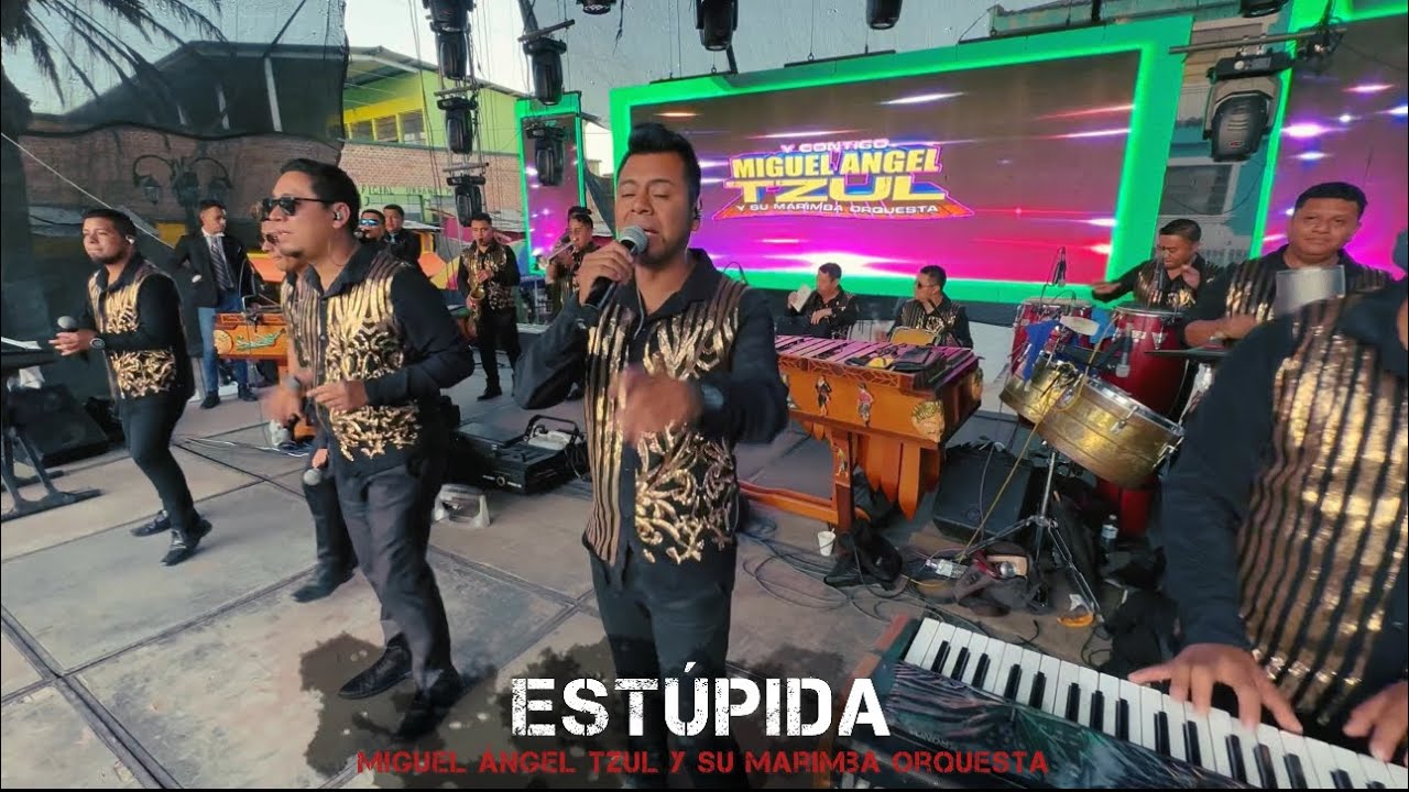MIGUEL ÁNGEL TZUL / ESTÚPIDA / ZOOM SAC