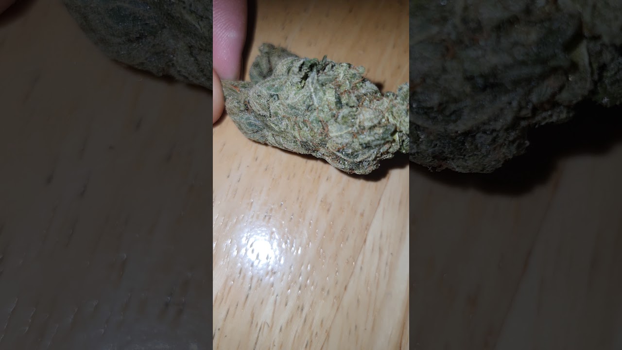 UK home grown currylato @whitey_420_27 weed review