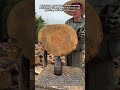 Achieving Agricultural Engineering Efficiency Through Mechanical Log Splitting With Cone Screws