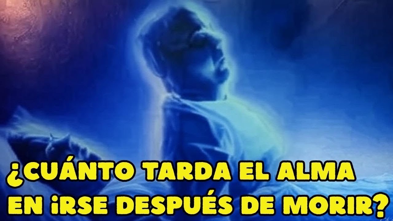 ¿Cuánto tarda el ALMA en irse DESPUÉS de MORIR?