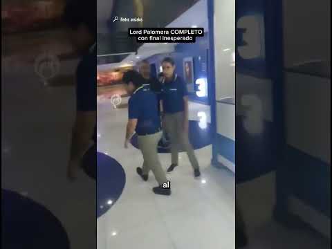 "Lord palomera": Hombre se vuelve loco por la palomera de Yoshi