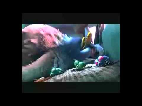 Valiant Trailer Español Flv 