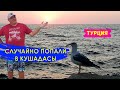 Кушадасы, Турция | Le Bleu Hotel & Resort - обзор курорта и отеля (With ENG and ESP subtitles)