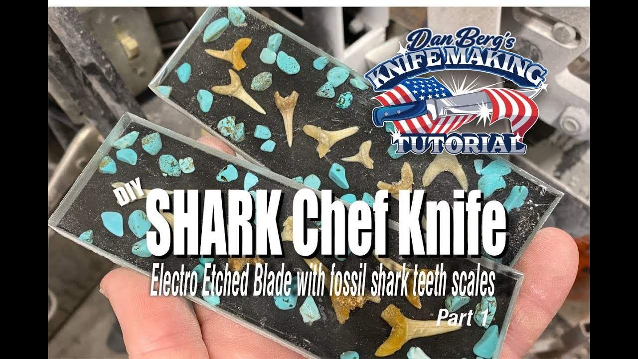 Shark Knife with fossil shark teeth cast handles – Berg Knifemaking