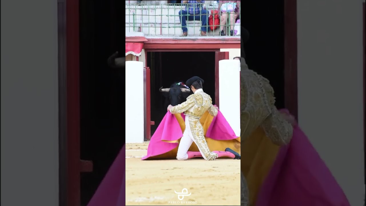  AWESOME Bullfighter And Bull