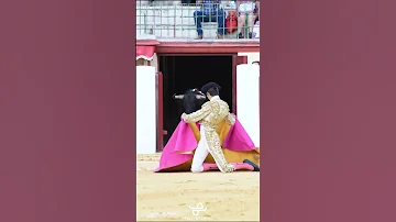 AWESOME Bullfighter And Bull 