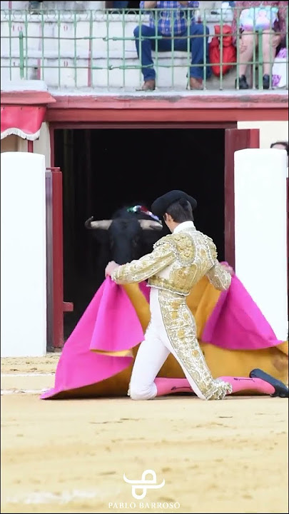 !!LUAR BIASA!! matador dan banteng