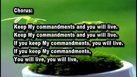 KEEP MY COMMANDS