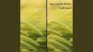 Canopy Serenade Breeze: White Noise (Loopable Sequence)