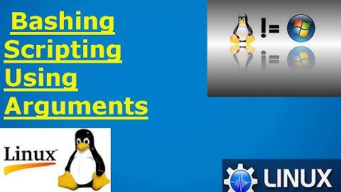 Bash scripting using arguments