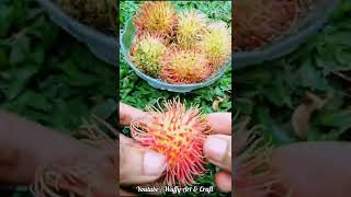 Do u like "Rambutan"🤤| (Nephelium lappaceum) is a tree from southeast Asia#fruits#youtube#shorts#