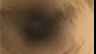 Tractor Supply (Denton, TX) - Video Scope Main Sanitary Trunk Line