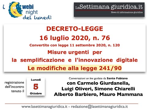 Video: Ci sono più donne che scelgono i Bichon sui bambini?