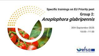Statistically sound survey of Anoplophora glabripennis - French subtitles
The video presents the recorded webinar that took place on the 30th of September 2025. It presents information on the biology of Anoplophora glabripennis and explains statistically sound and risk-based survey design of this pest in an artificial country - Surveyland.
Discover more about EFSA on our channels:
▪ Website: https://www.efsa.europa.eu/en
▪ Bluesky: https://bsky.app/profile/efsa.europa.eu
▪ LinkedIn: https://www.linkedin.com/company/efsa
▪ Instagram: https://www.instagram.com/onehealth_eu/ Statistically sound survey of Anoplophora glabripennis - French subtitles