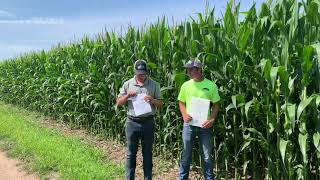 Intern Insights Tissue Sampling
