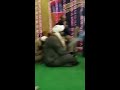 الشيخ محمود العديسى الجزء الأول الشيخ محمود العديسى الجزء الأول