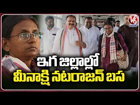 AICC Incharge Meenakshi Natarajan Plans To Hold District Tours | V6 News - V6NEWSTELUGU