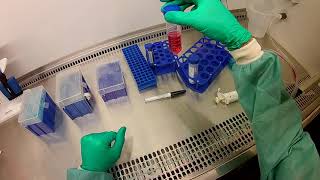 BME 245L Summer 2020 Lab day 7: Make neutral red solution