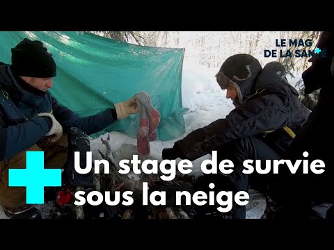 Vidéo: Comment Apprendre à Survivre