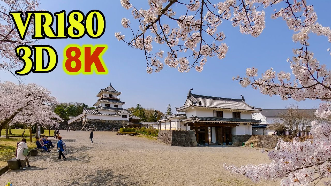 8K 3D VR180 ] 桜に囲まれた白石城 Shiroishi Castle surrounded by