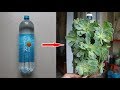 Người làm vườn nay còn biết cách tái chế thế này | Gardeners now know how to recycle this